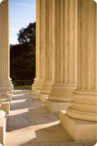 Government Software